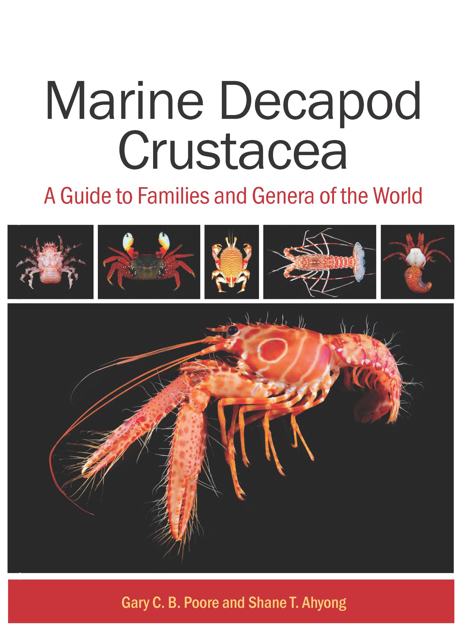 洋書 CRUSTACEA Guide Of The World CRUSTACEA Guide Of The World