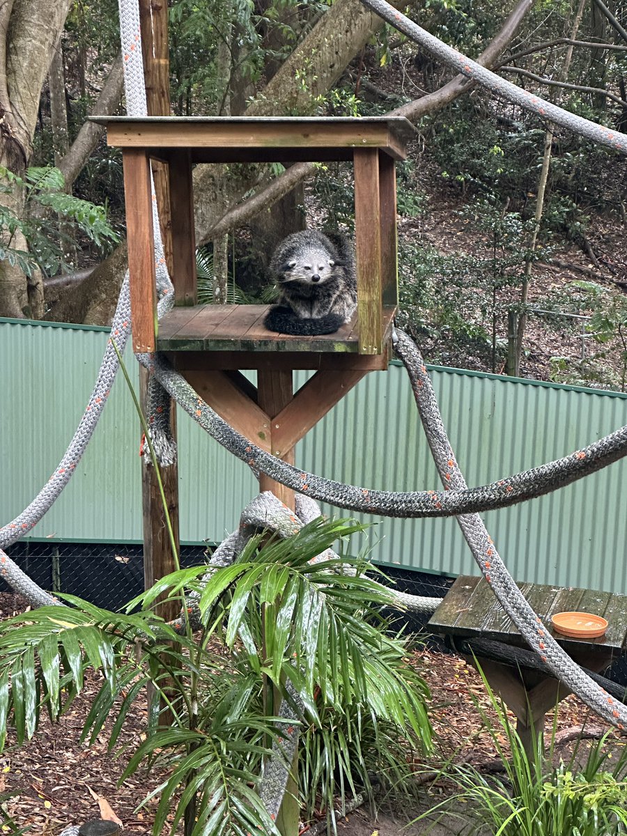 Lea Emery tweet media