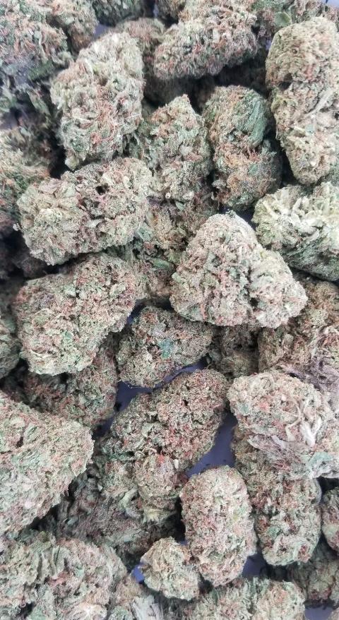 HighGradeHempco's tweet photo. @AngelsCannabis Yummy #AmIRight 100% Organic outdoor Colorado grown #hemp https://t.co/60SMUOzsPR