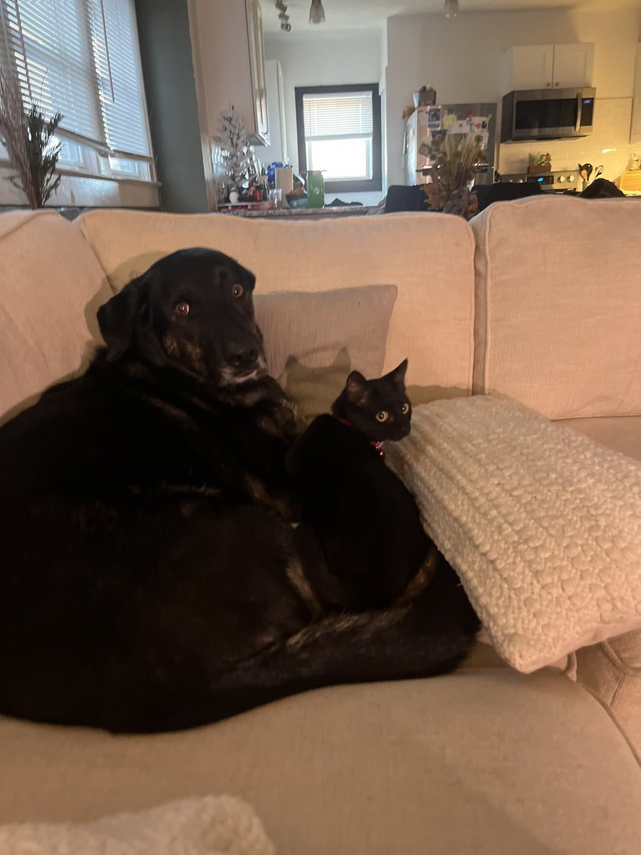 kristabaker™ tweet media