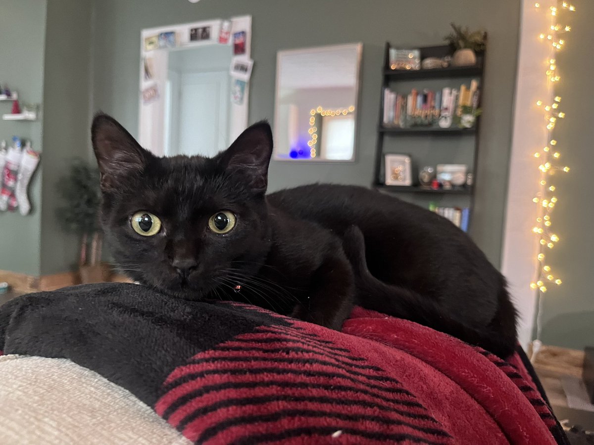 kristabaker™ tweet media