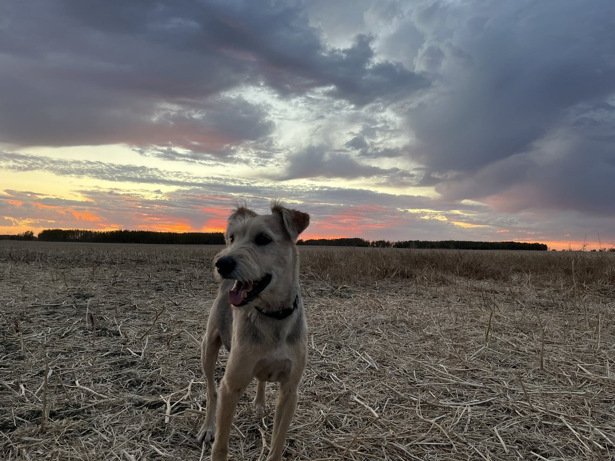 Clark Stork tweet media