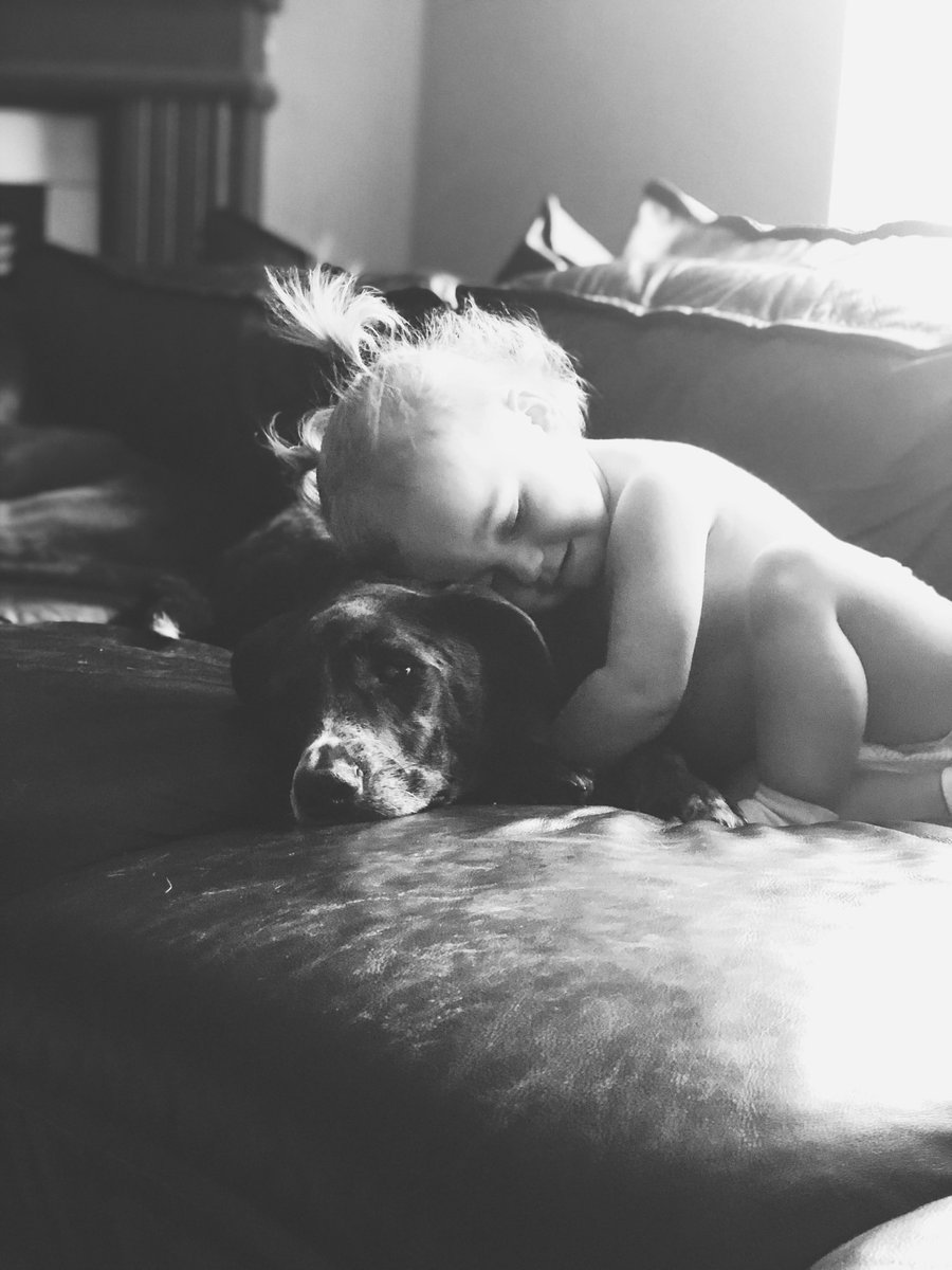 bay_mcdaniel's tweet photo. Fly high babygirl, I’ll see you soon🖤 you were taken far too soon. 
I got Marley the week I got out of rehab, she’s been around me during some of my worst phases, hardest times, and best moments. Most of all she was Novas bestie since the day 1. Best dog ever. https://t.co/Jg7w5BXwDX