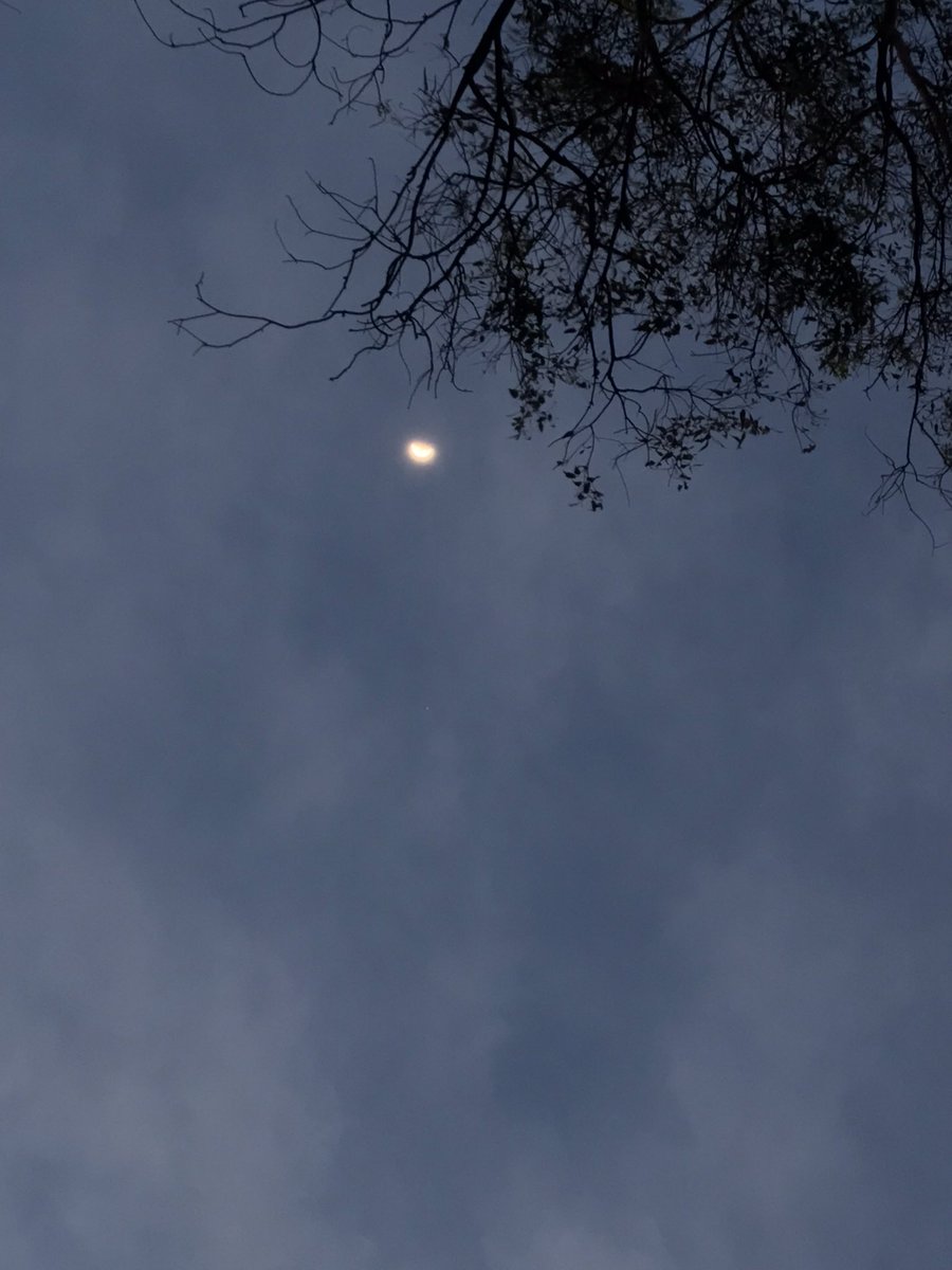 _MarOch's tweet photo. En nuestro cielo chilango, #Alqamar seguida por Júpiter (antes de que los cercaran las nubes). Con sensación térmica de 14 grados… https://t.co/RvjUalfD9R