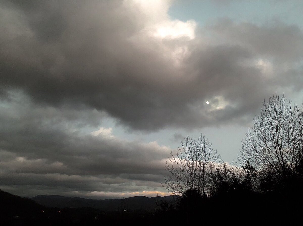 Dana Blake Scopa tweet media