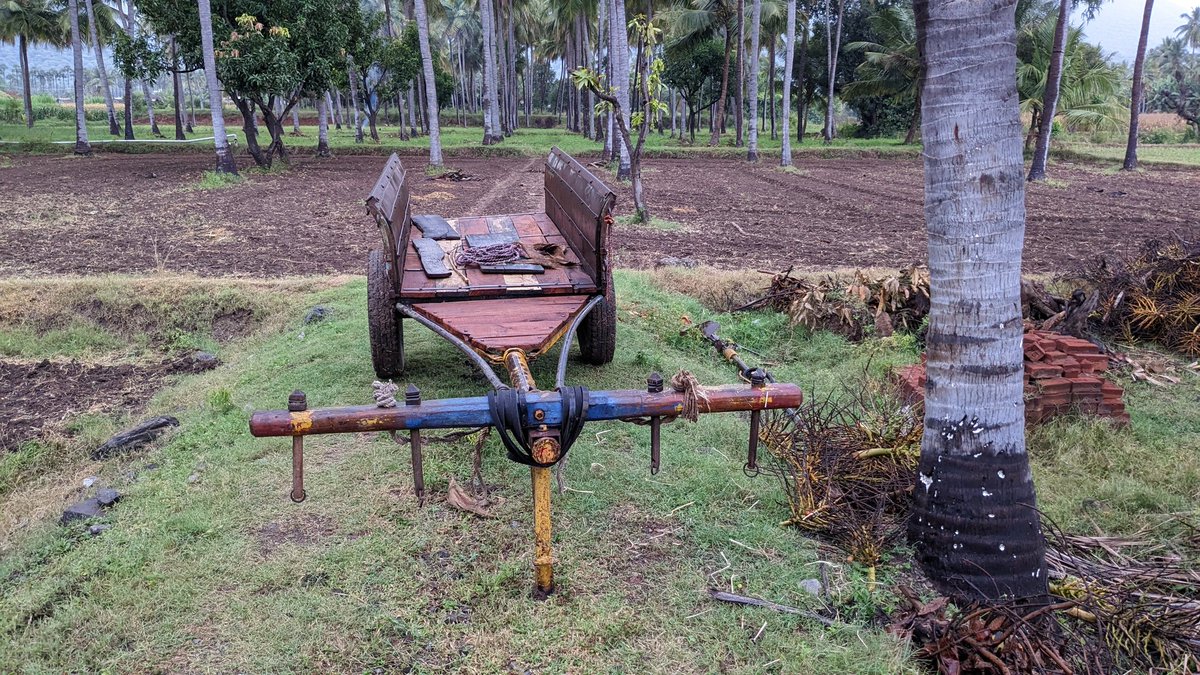 drgk81's tweet photo. @madebygoogle @cfinch5 The restored Bullock cart is my favourite. Shot using pixel 6a. Backbone of a farmer in India. https://t.co/9jNiHcIm2U