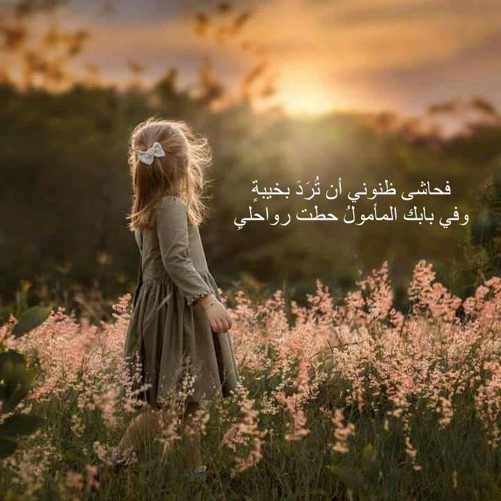 Badriyah Alrashidi د.بدرية الرشيدي tweet media