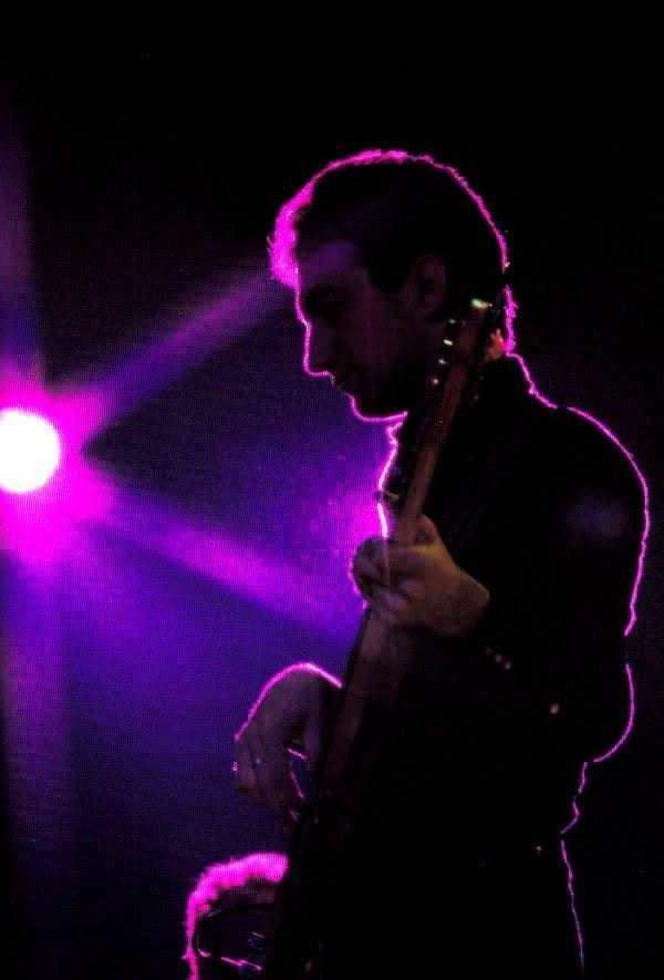 queen archive tweet media