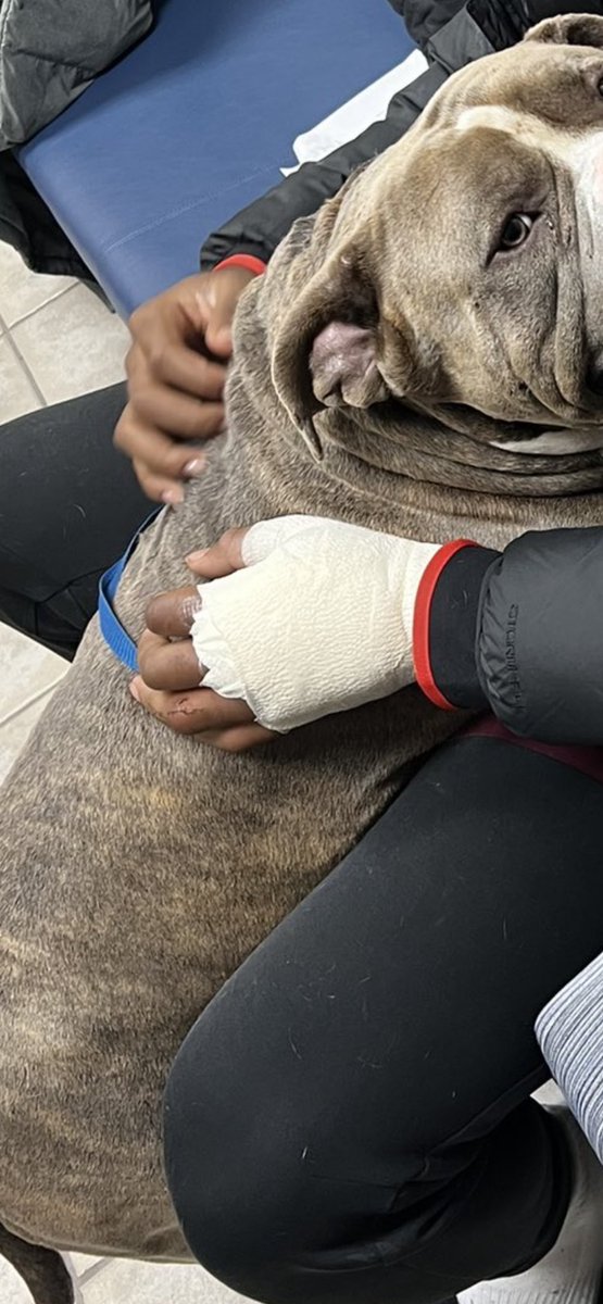 JOEC2813's tweet photo. @clarencehilljr Just a theory,  but I wonder if he had to put his dog down because it bit his hand…hope not! Sad if so. https://t.co/lVaEMRXMC6