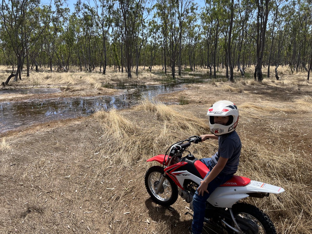 First time in my years around these parts that I have seen water in this swamp in summer. That said… plenty of water in places I have never seen it everywhere this time of year
