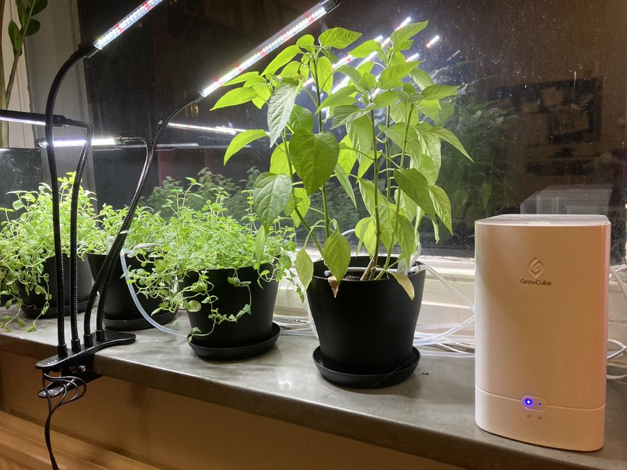 Elecrow1's tweet photo. Too busy to water? Use #GrowCube Instead!🥳
A smart watering kit grows your plants like a pro!👇
https://t.co/fWKdVLTp02

#Elecrow #IOT #garden #wateringsystem #fridayvibes https://t.co/hnOwOKcBab