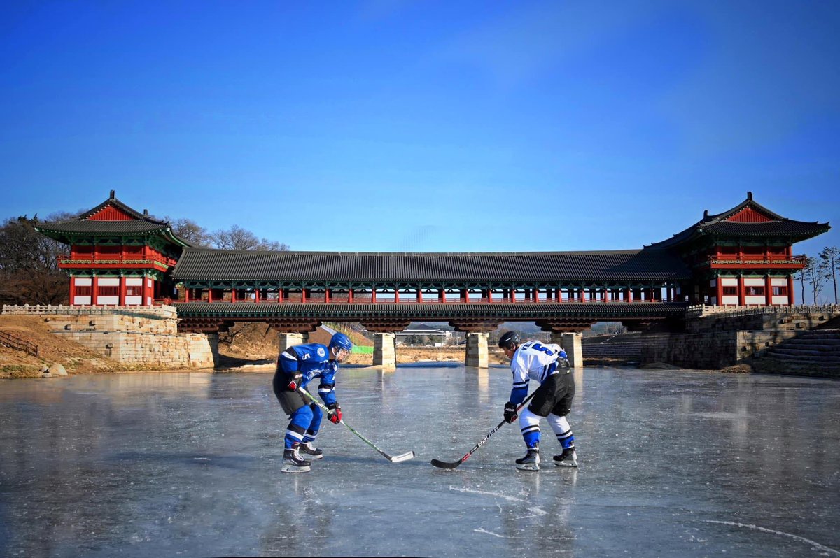 Lee Kelly tweet media