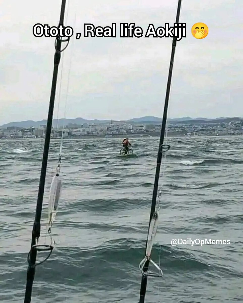 DailyOPMemes's tweet photo. Anime : One Piece https://t.co/RW2yWfU40l