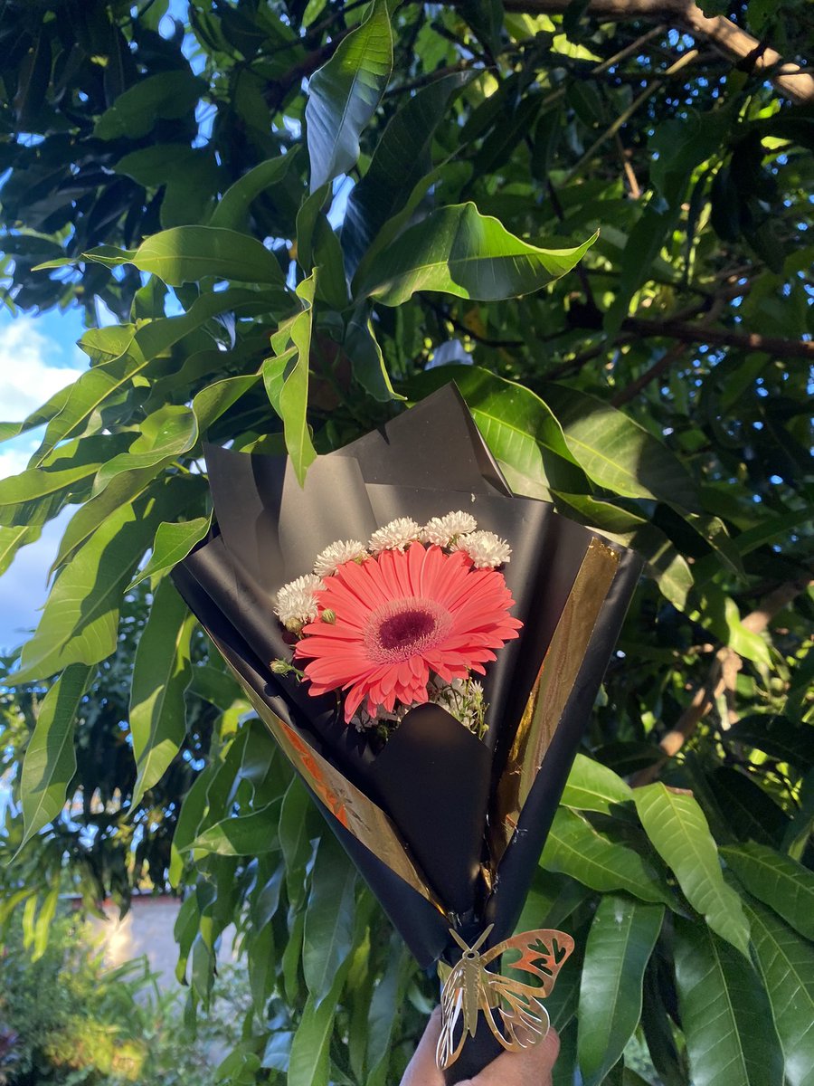 💐✨