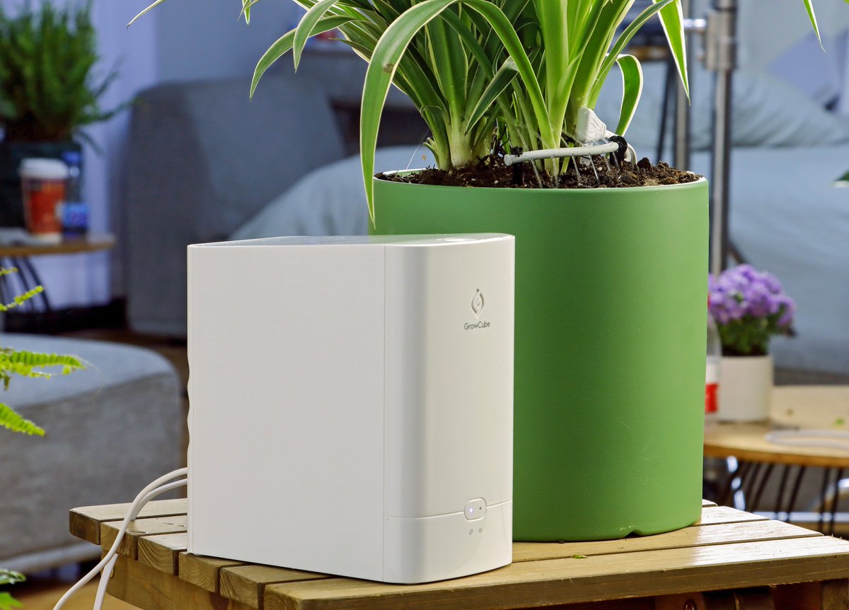 Elecrow1's tweet photo. Too busy to water? Use #GrowCube Instead!🥳
A smart watering kit grows your plants like a pro!👇
https://t.co/fWKdVLTp02

#Elecrow #IOT #garden #wateringsystem #fridayvibes https://t.co/hnOwOKcBab