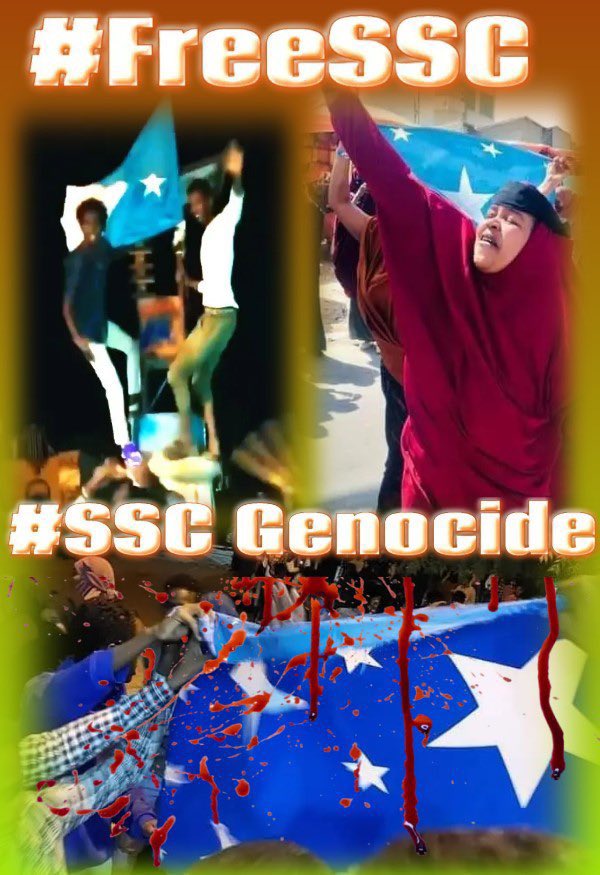 AbdiwahabSheik7's tweet photo. Urgent Intervention is require  from international community to Stop Genocide and Mass Atrocities in Laascaanood. This is nothing short of genocide STOP!! https://t.co/Qv0yVaDcO8