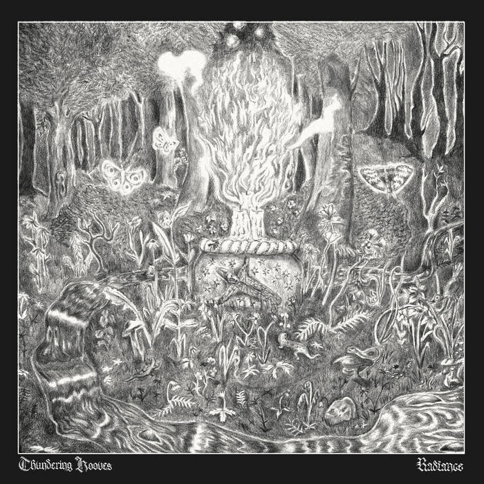 darkirondwarf's tweet photo. #DarkIronAoty #MyTop50
25 🇬🇧 Thundering Hooves - Radiance
🎧https://t.co/Ys9UMU3Wum
Second LP, grim ode to war black/death intensity that manages to flirt w/black & roll melodicism without even suggesting fun or joy. Ten-ton songwriting worthy of their Bolt Thrower ambitions. https://t.co/eTSem2tNNt