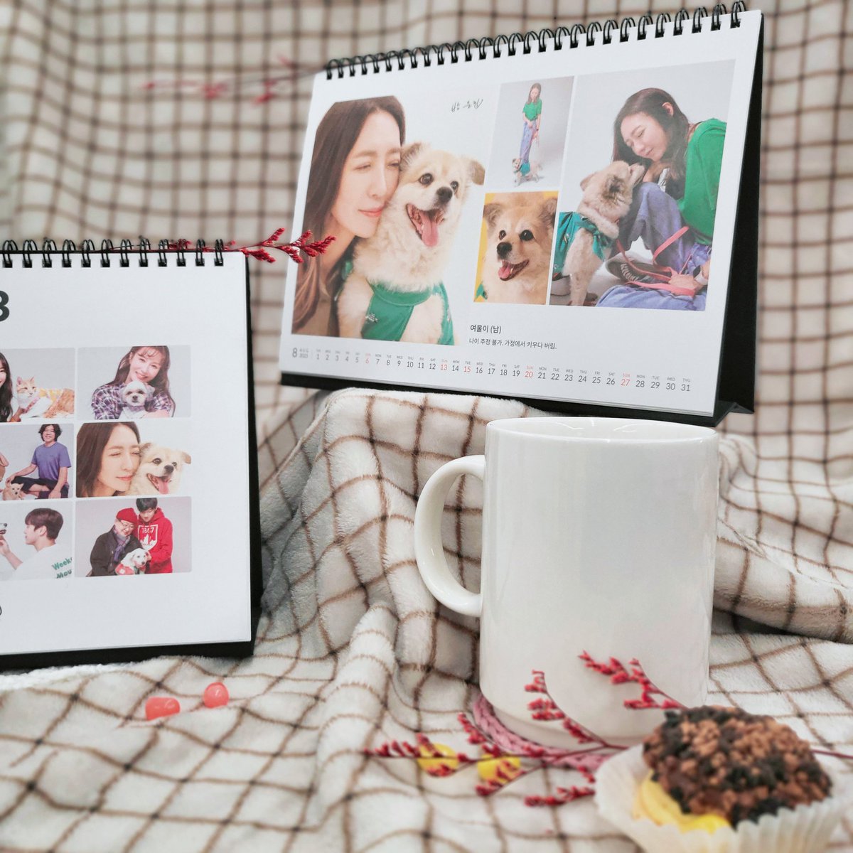 [#방은진] 2023년 후원캘린더

방은진 배우가 선한영향력 으로,
유기동물보호소후원에 참여한 
캘린더를 공개합니다🐾

방은진✨️ x 여울이🐶

방은진 배우가 따뜻한 마음으로 참여한 만큼 2022년 연말 행복하게 보내세요🫣💜

#방은진 #PangEunjin
#MEFLEXent #미플렉스엔터테인먼트