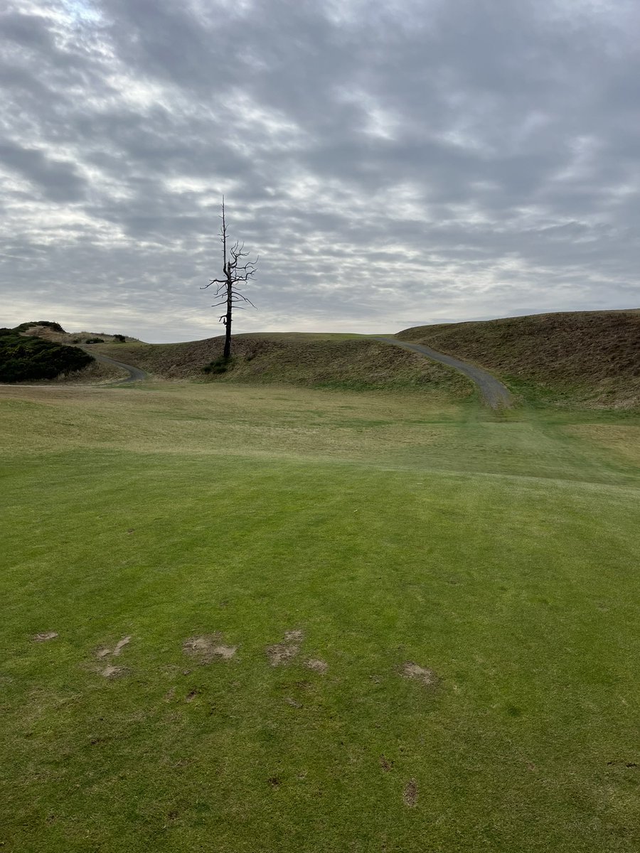 Jeremy Casebolt tweet media