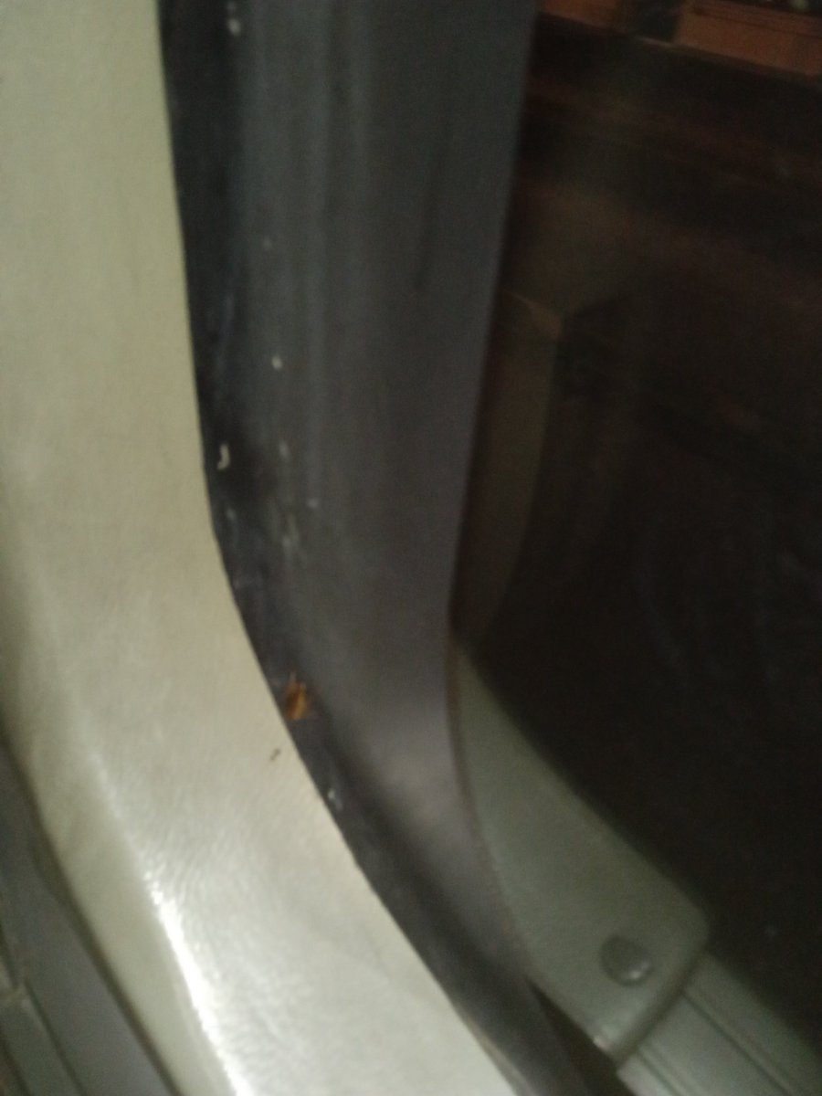 Giobena's tweet photo. @METROCALI @MIOusuarios @Caracol_Cali deberían fumigar los buses del masivo, es recurrente ver cucarachas, pasó en el articulado MC21058 de blanco y negro https://t.co/CsCj1nIKmE
