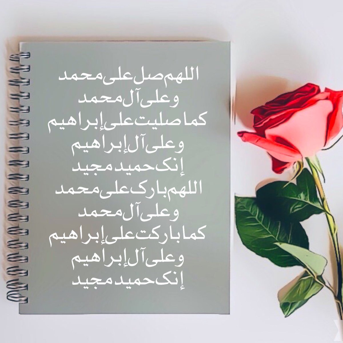 YaraAlarab's tweet photo. #صورة_ملف_شخصي_جديدة https://t.co/Qv1apRHNOC