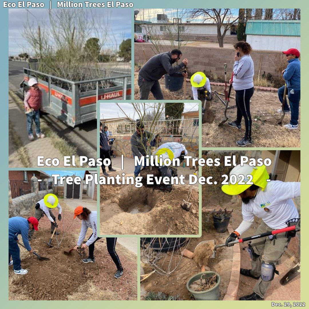 Thank you to Sunset Gardens for being the supplier of the trees for today's event.
#TeamTrees  #PlantTrees #Success #TreesPlanted #MoreTrees 

@MillionTreesElPaso

milliontrees.ecoelpaso.org