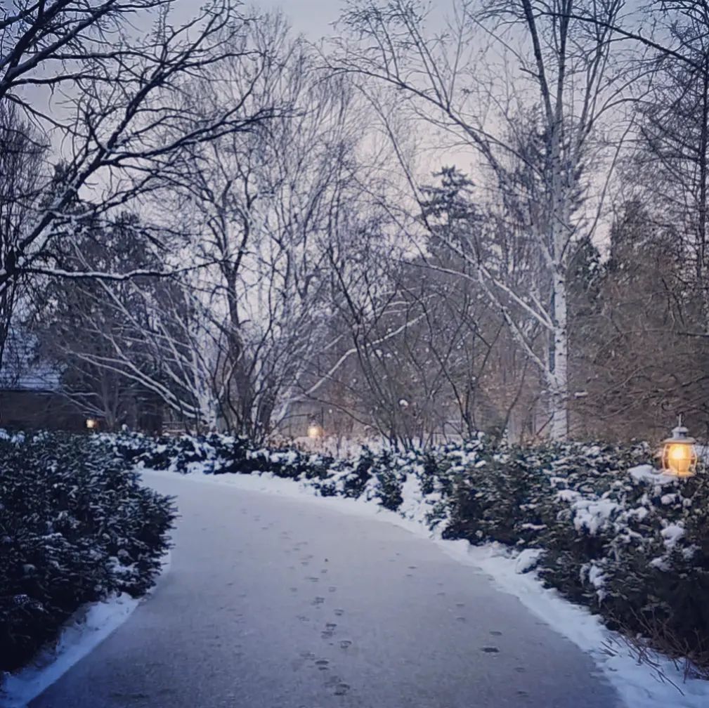 Not sure what lies around the bend in 2023, but looking forward to finding out!
.
I will say of the LORD, He is my refuge and my fortress: My God; in him will I trust.
Psalm 91:2 
.
#winterinwisconsin #snowypath #gardensinwinter instagr.am/p/CmxkOC5MmFw/