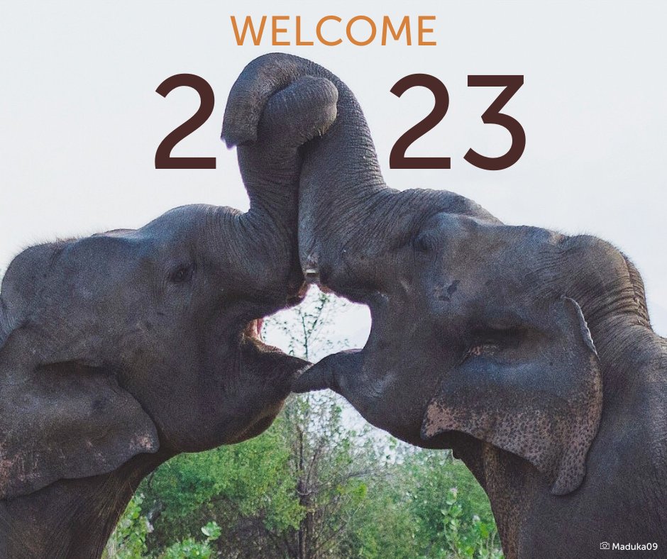 Happy new year, friends! 🥳️🎆 Perhaps 2023 is the year you finally get to see an Asian elephant in person? Commit to #EthicalElephantExperiences and read our resources on our website: bit.ly/TnLTourism . Take the pledge and kickstart your year!
.
📷 Maduka09