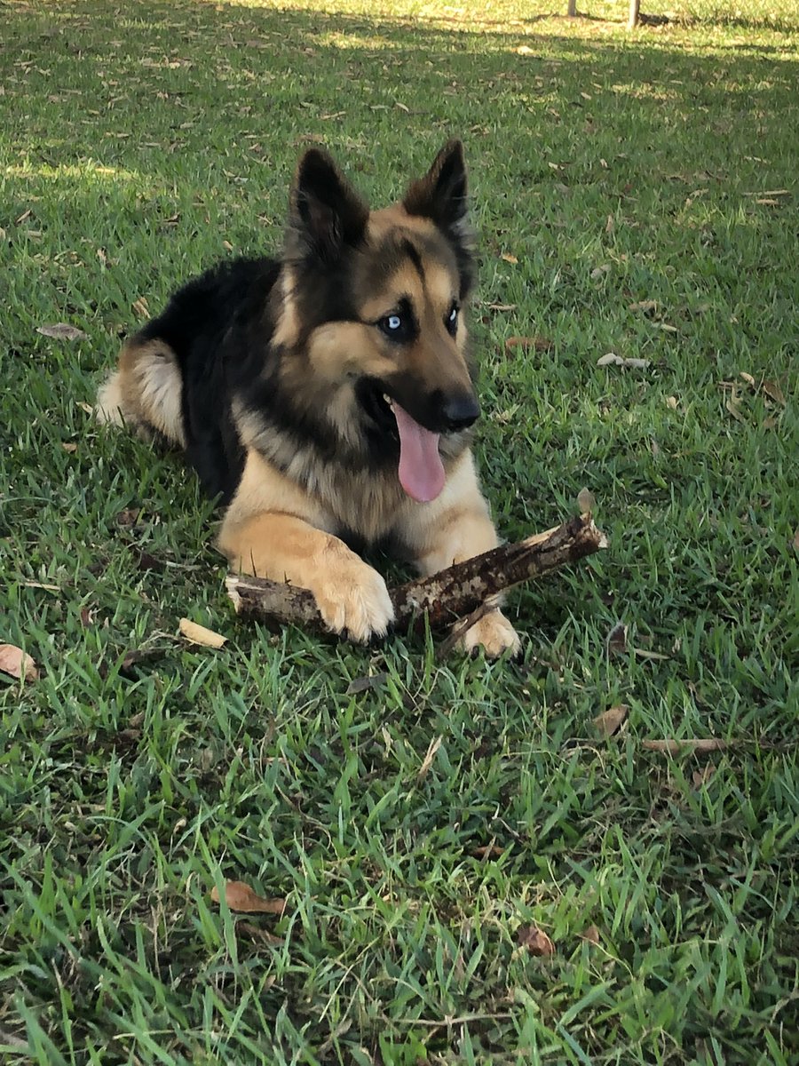 Eduardo Caton tweet media