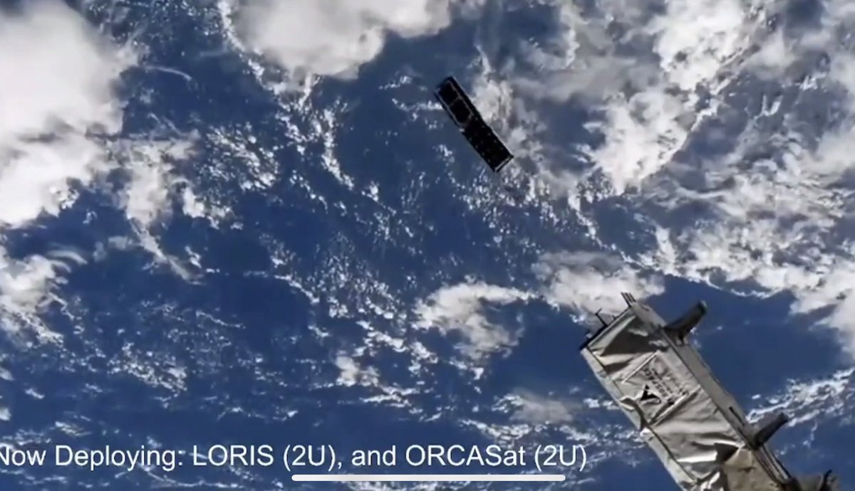 LORIS nano tweet media