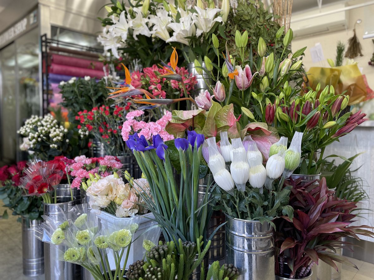 hanaclub123's tweet photo. お正月のお花の引き渡しピークです🎍ご予約のお客様はどうぞお気を付けてお越しくださいませ。
店頭にもお正月飾り用アレンジメントのご用意ございます✨✨若松、千両、南天、金塗り柳、オリエンタルユリなど花材は1本からバラ売りできます。
なお年内の営業は本日17:00までとな��ております🙇‍♂️ https://t.co/NP3amIDyWo