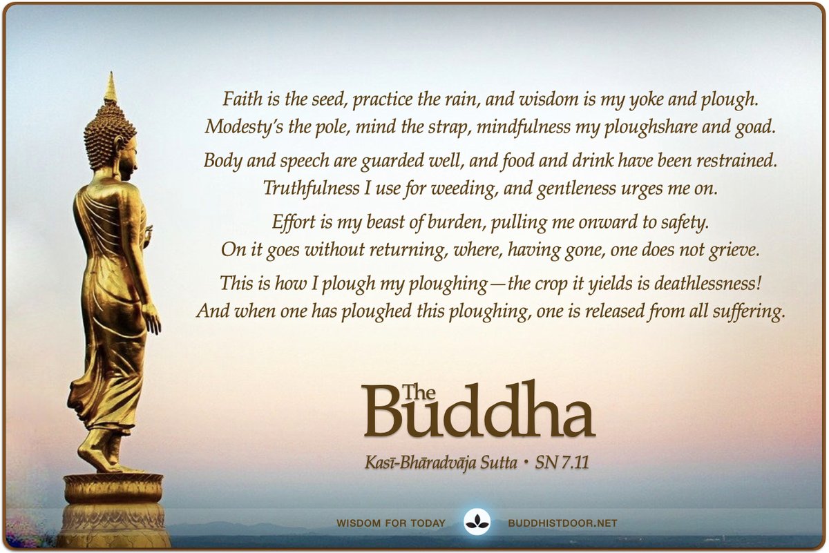 Buddhistdoor's tweet photo. #Wisdom for Today: The Buddha 

https://t.co/0CfdY1mc3g

#buddhistquotes #dharma #dhamma #buddha #buddhism #palicanon #insight #liberation #awakening #mindfulness #meditation #mind #heart #karma #kamma #peace #compassion #nibbana #nirvana #fournobletruths #nobleeightfoldpath https://t.co/BHVgTAkSGe
