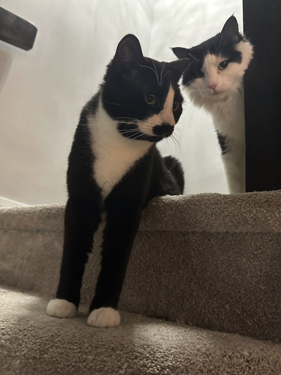 💕 yazy 💕 tweet media