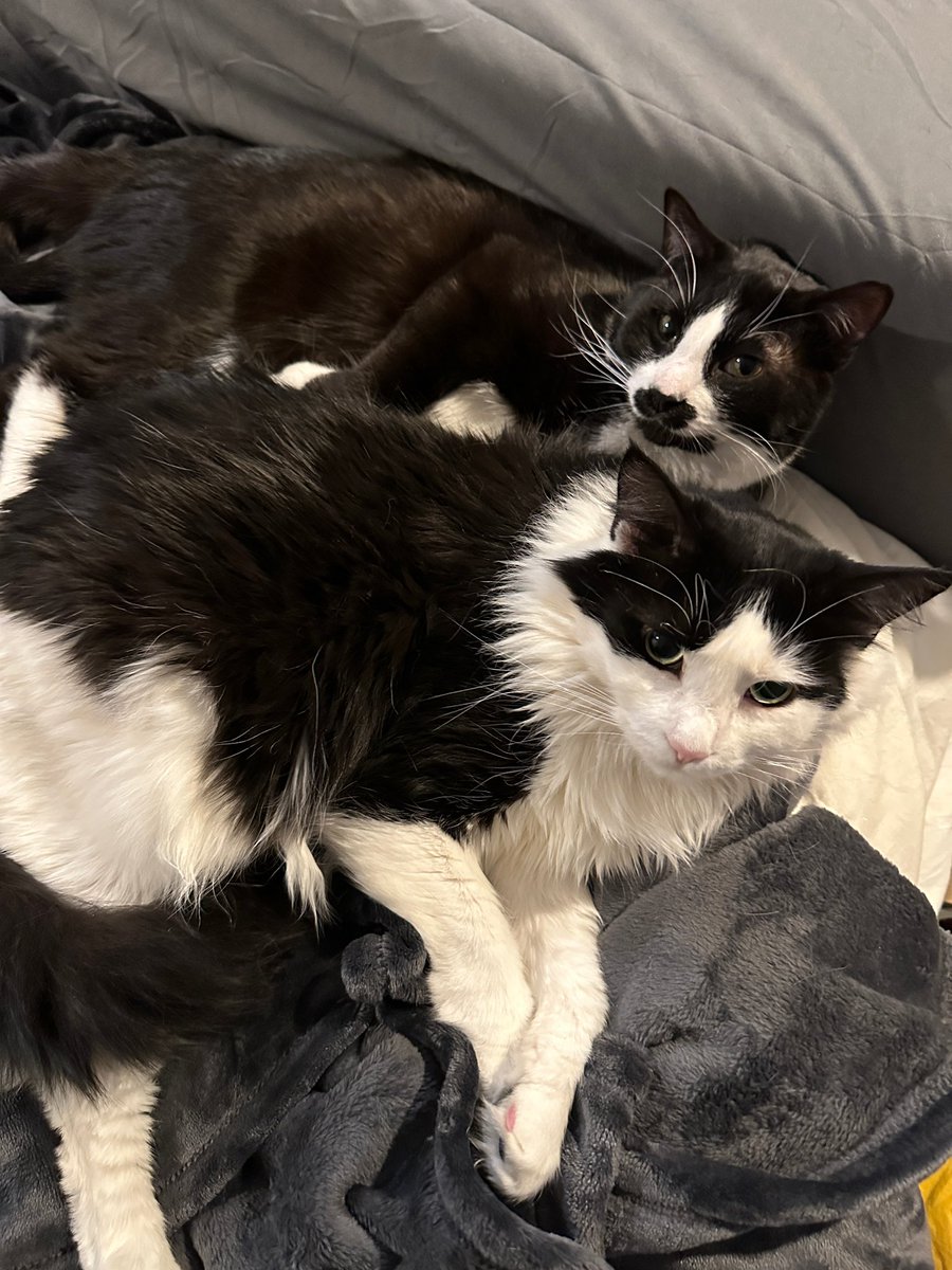 💕 yazy 💕 tweet media