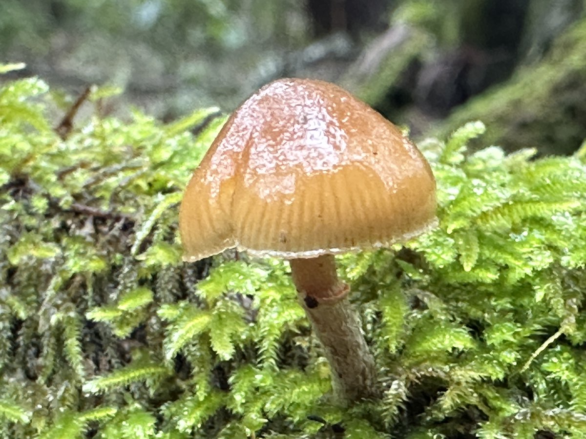 Colin Liotta tweet media