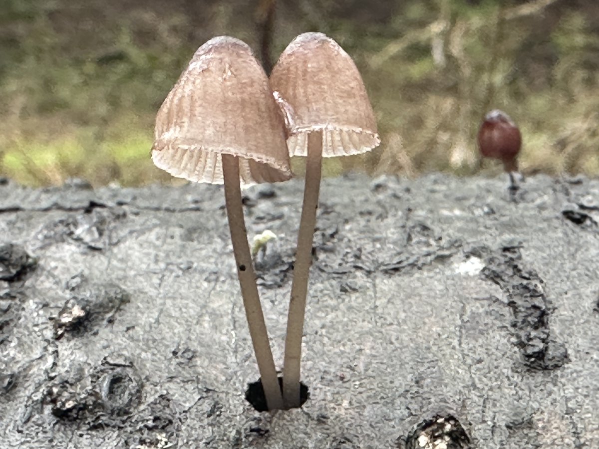 Colin Liotta tweet media