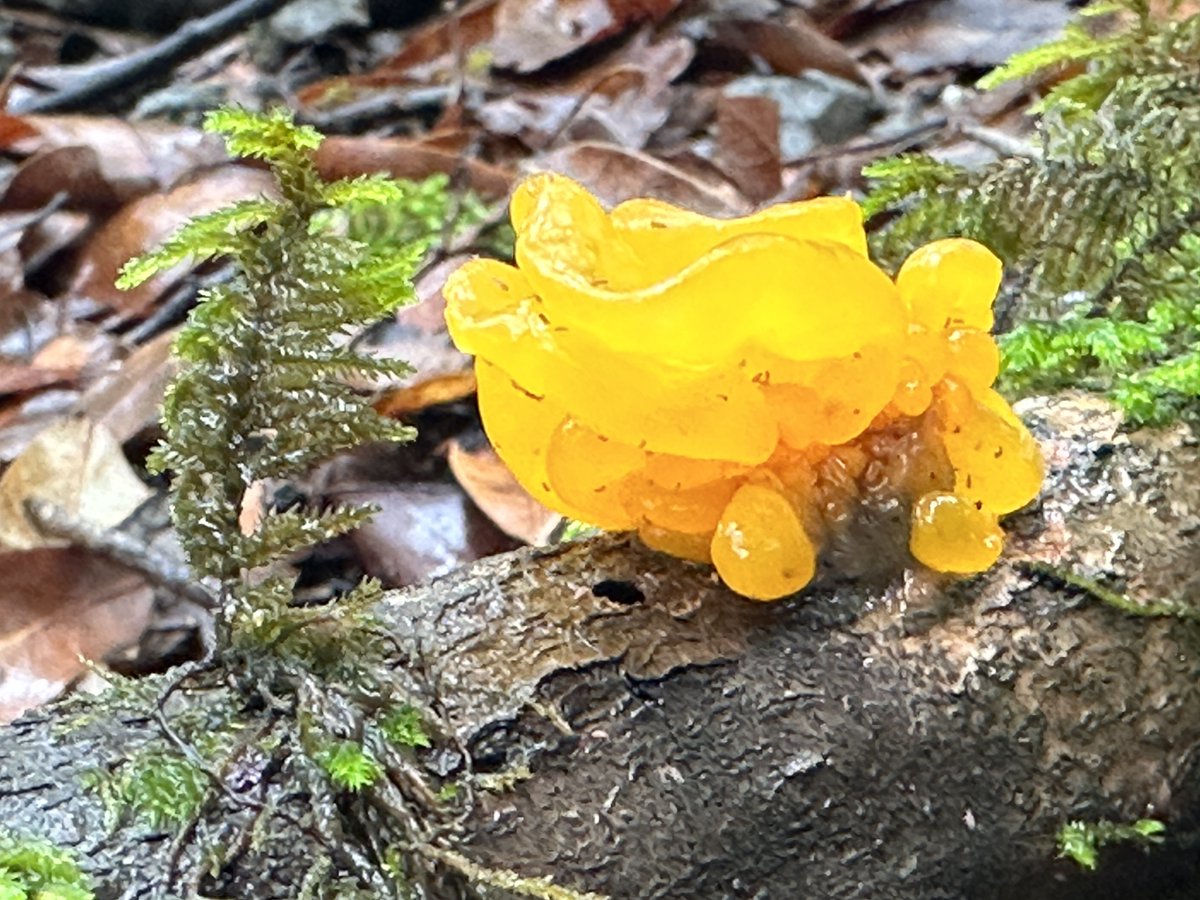 Colin Liotta tweet media