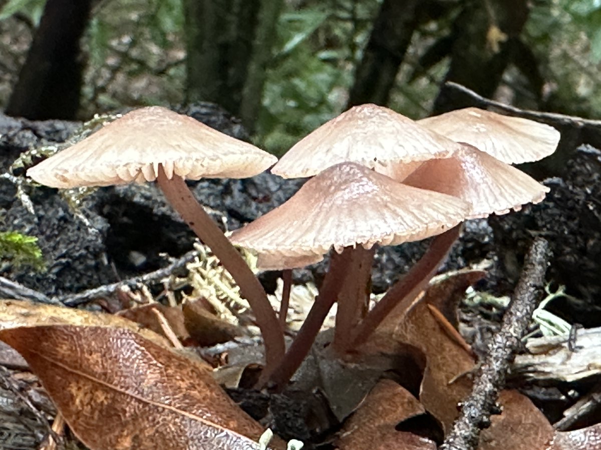 Colin Liotta tweet media