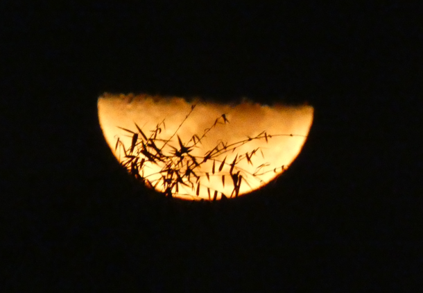 suezeecue's tweet photo. Was already in bed, when I caught a glimpse of the moon through the window. Went out and watched until it went down behind the skyline. There is something about the night sky... #Kingston #Jamaica #settingmoon https://t.co/X3XHPKEOIu