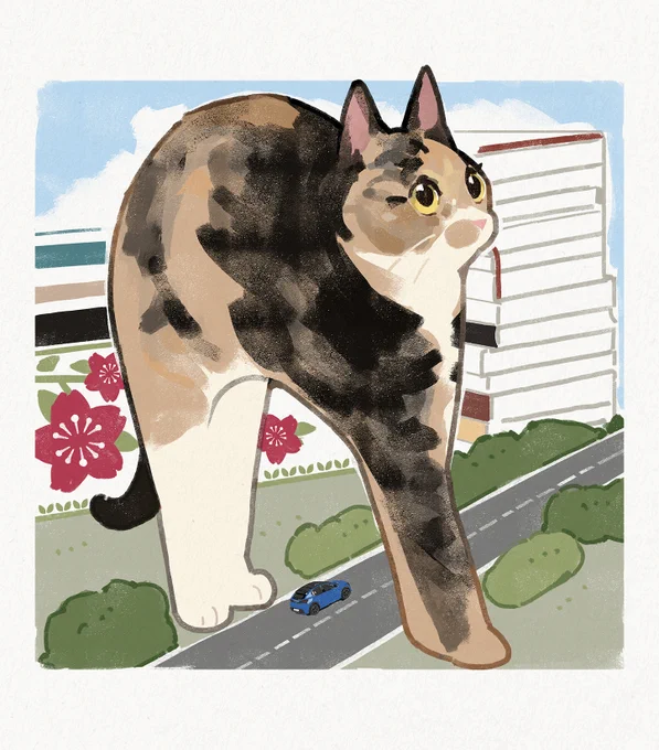 cat roads 
