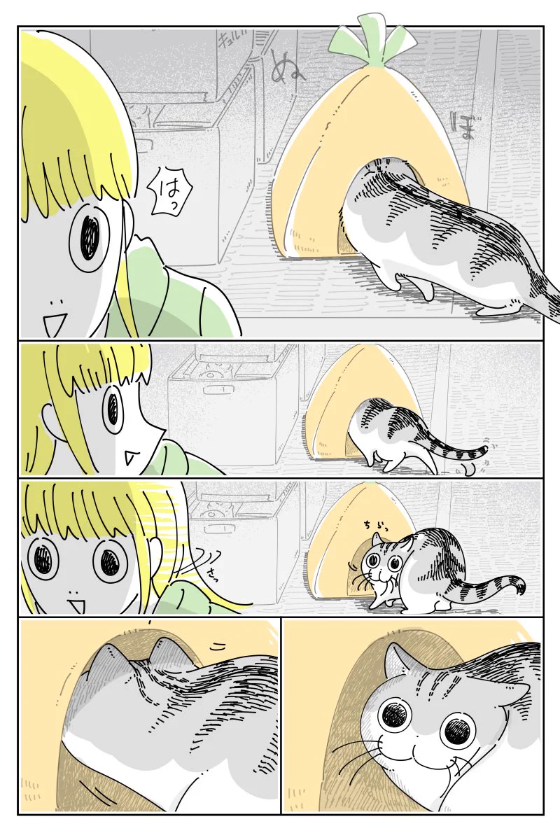 全然使ってくれずしまっていたベッドを見つけ、奥の方へしまい直そうとしたら･･･！ある猫漫画が話題に！