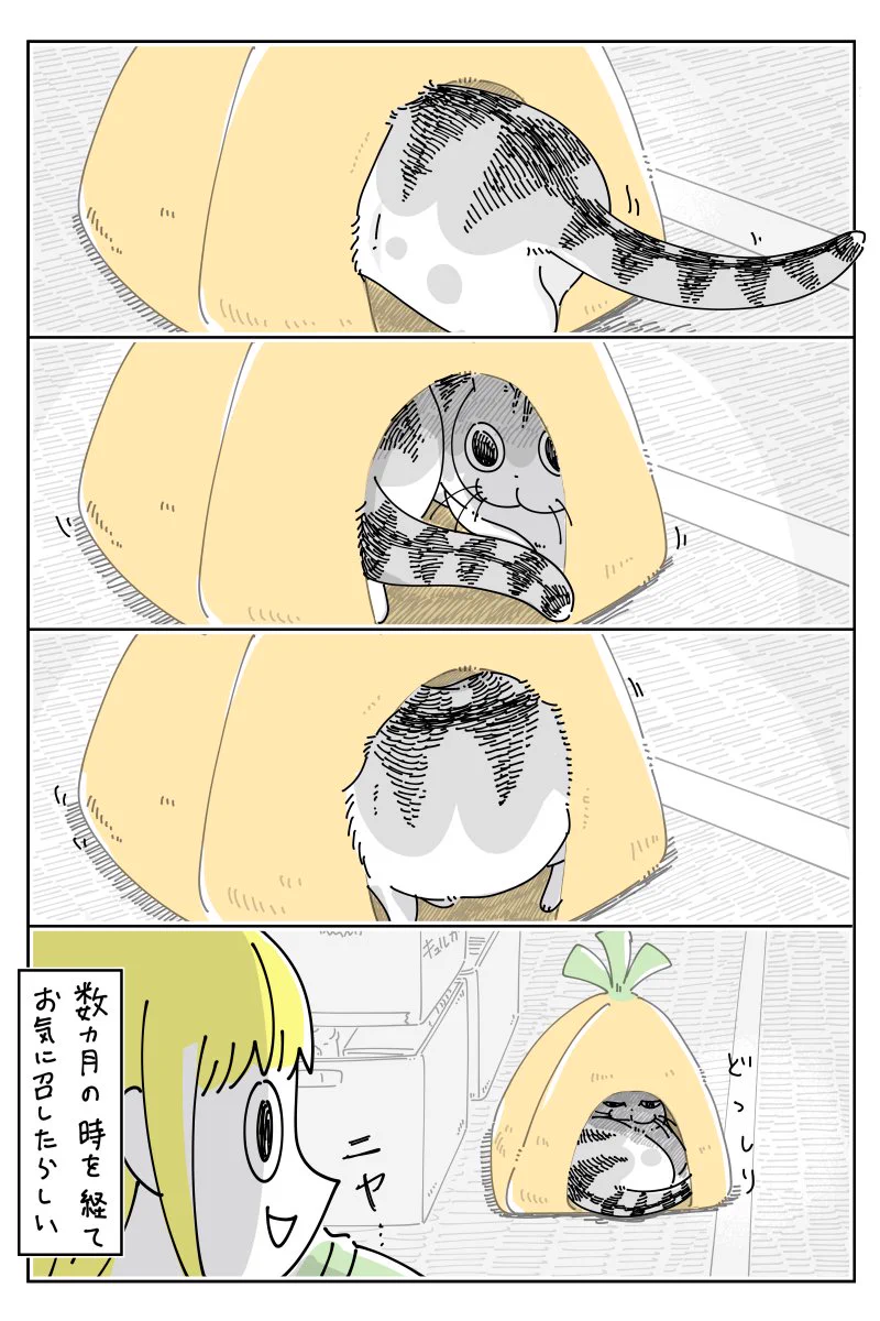 全然使ってくれずしまっていたベッドを見つけ、奥の方へしまい直そうとしたら･･･！ある猫漫画が話題に！