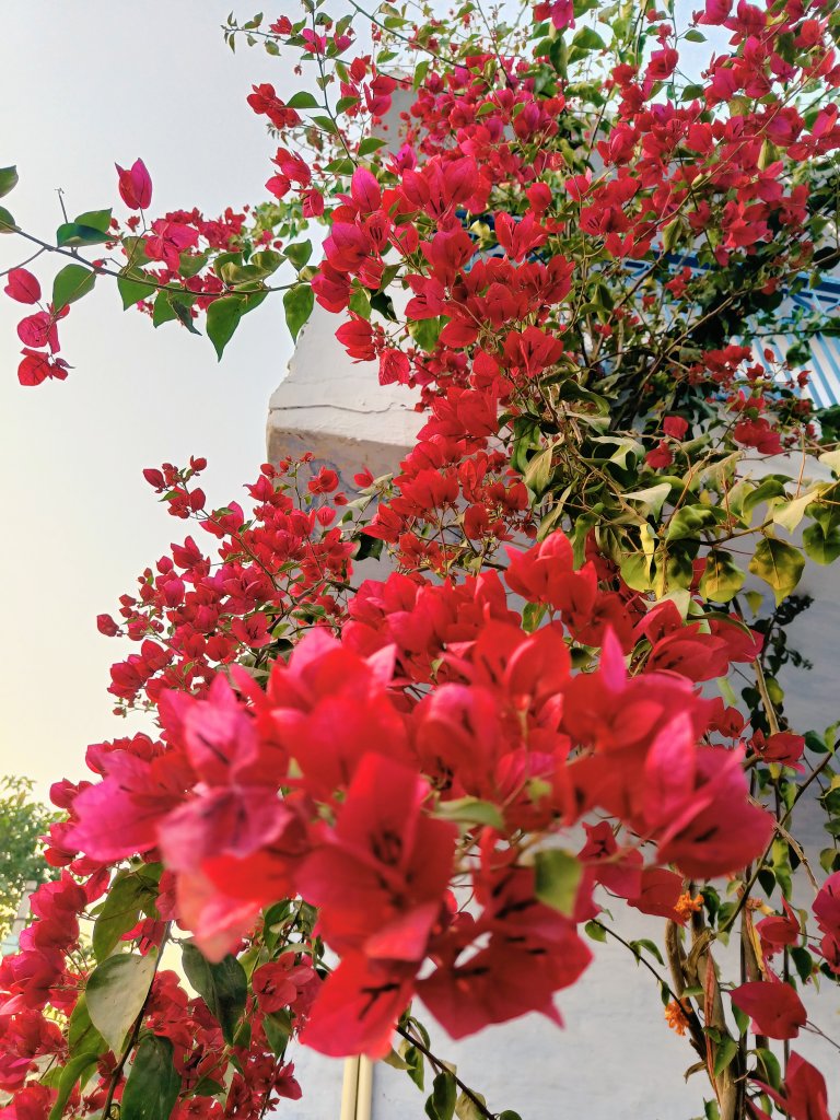 ShilpeeDubey3's tweet photo. Home sweet home 🤩🥰
#ghar🤩
#sukun🥰 https://t.co/Ru2vcTkIoE