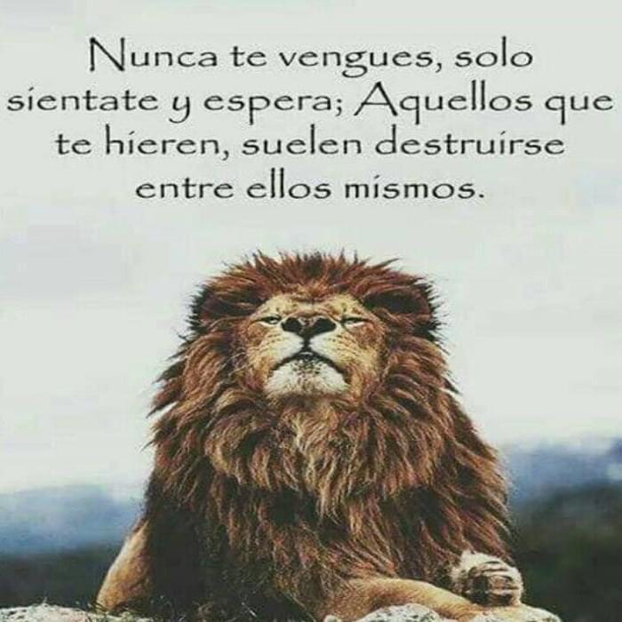 PauloCoelhoDice's tweet photo. https://t.co/ybf3PsiQdf