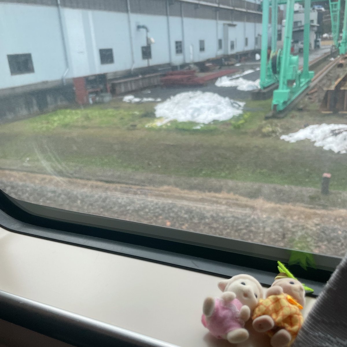 jomchanman's tweet photo. これはシャッター押した瞬間に倒れて、全然背景も福井じゃなかったやつ https://t.co/4jam2TA7su