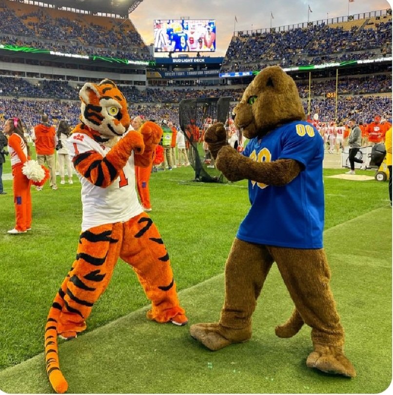 agruse's tweet photo. @ROCthePanther @Pitt_FB @TonyTheTigerSB Good to know you folks got along tonight! Roc got into a fight the last time a tiger came his way. https://t.co/94s0NXtMhi