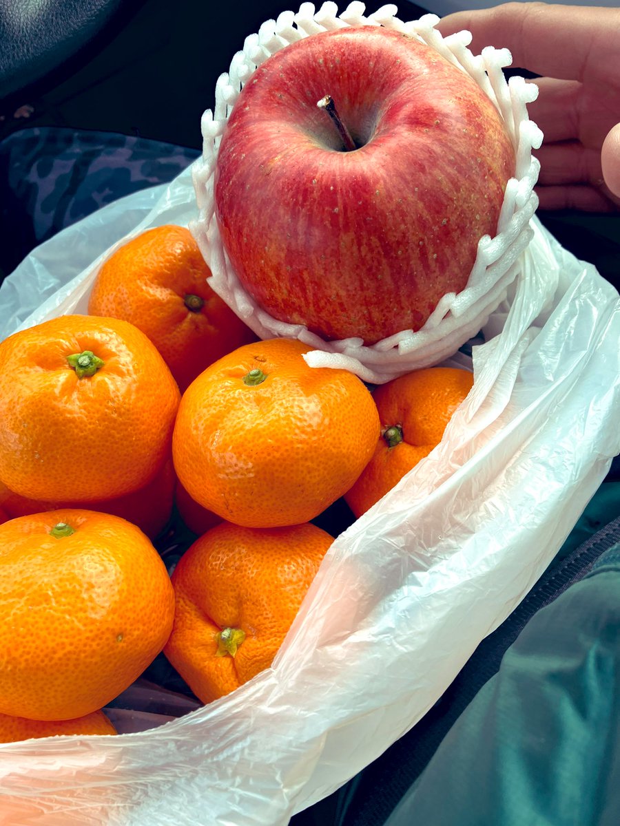 りんごミカン様*°♡ りんごミカン様*°♡ りんご・専用【シ2×3】 りんご様 りんご様