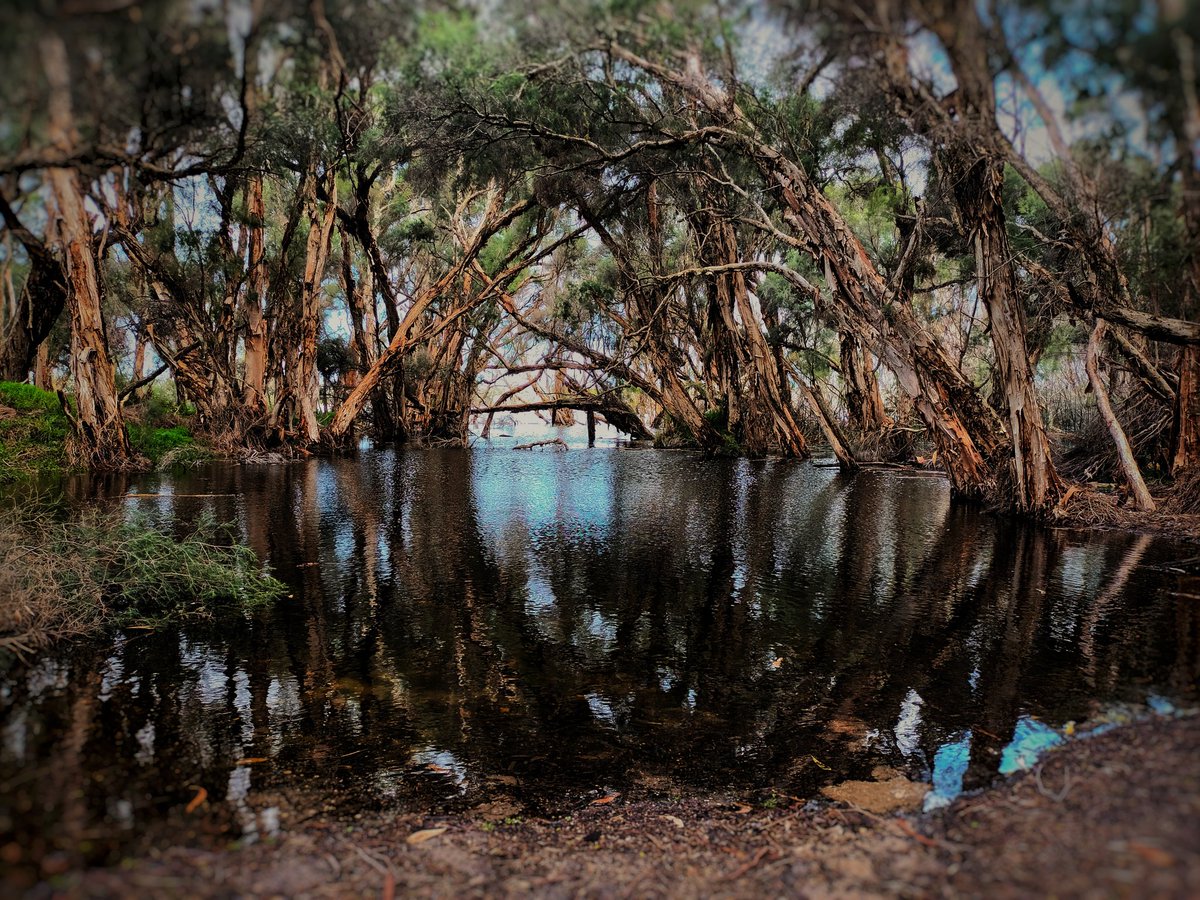 GamingGhoulish's tweet photo. Just some of my photography over the years https://t.co/b9ISVhkG51