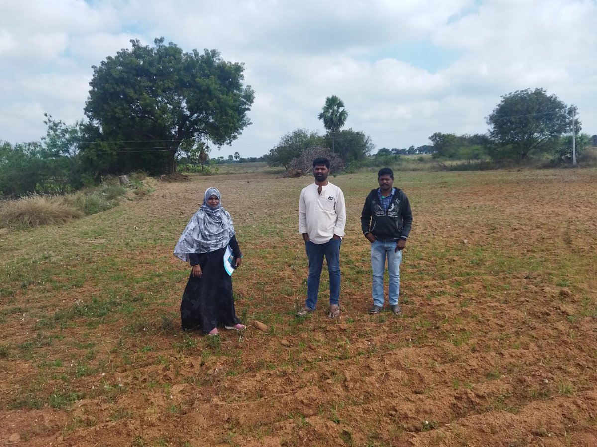 Horti_Athmakur's tweet photo. Inspected Chilli, Marigold fields and Oilpalm preliminary inspection at panakabanda ragibavi villages of Mothkur mandal suggested remedial measures to the farmer @Collector_YDR @Aclb_ydr @DYadadri https://t.co/muSdipKSnl