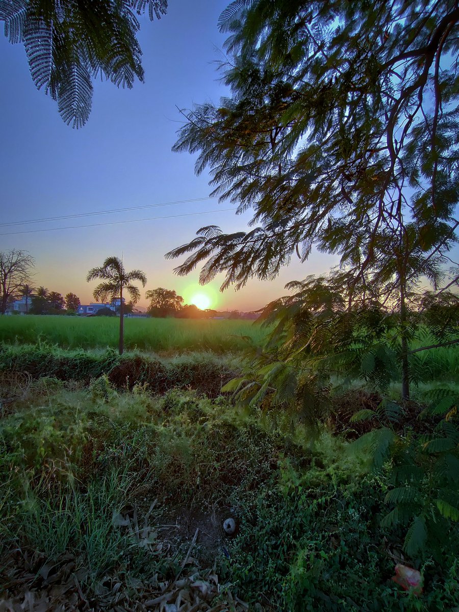 Good Morning NASHIK ❣️

Don't repost without permission ❌

#nashikcity #morningvibes #winter #nashikupdates #nashikblogger #sunrise #nashikguide #beautifulmorning #nashikgram #nashikpixel #nashikexploring #explorepage